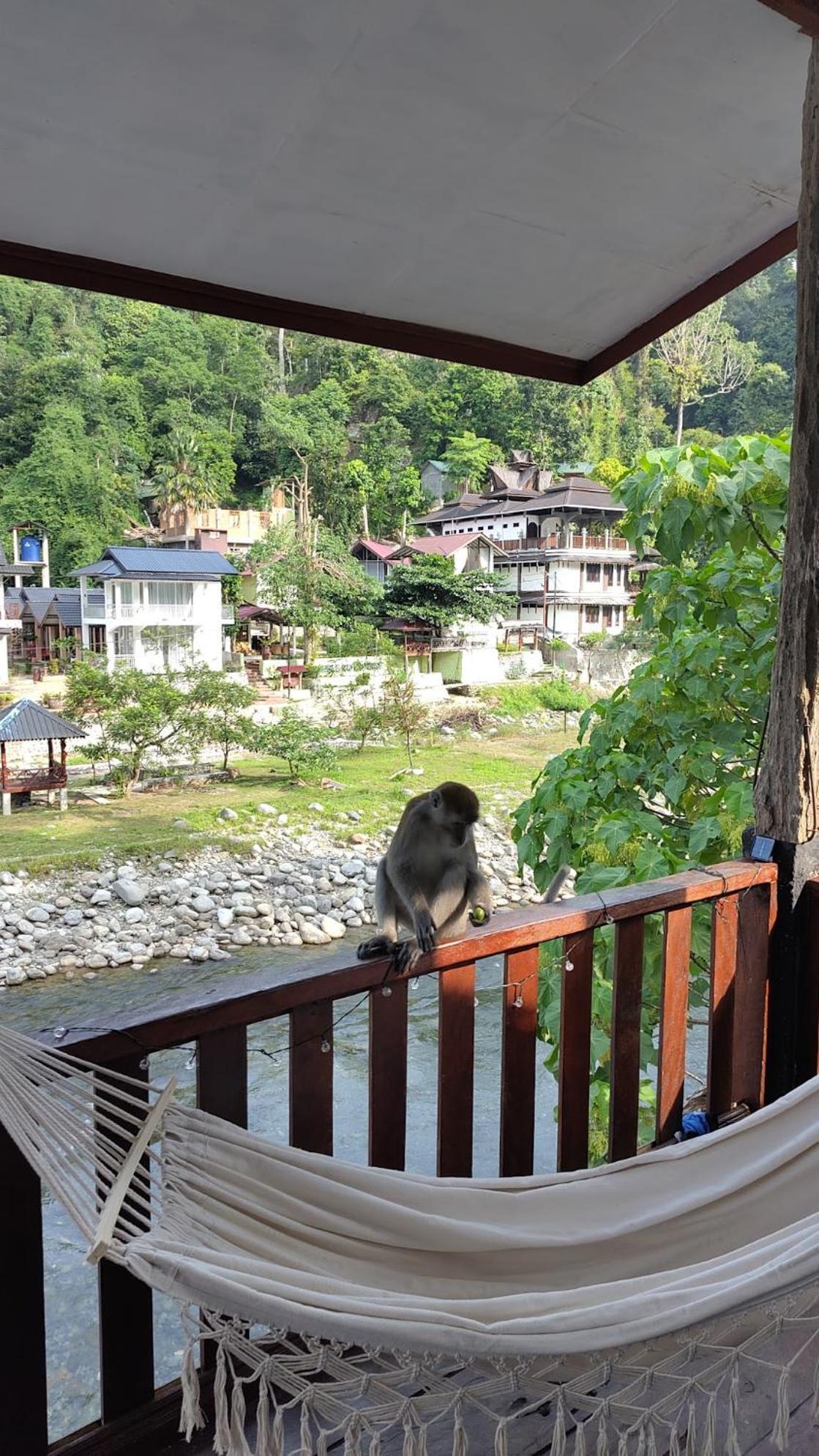Charlys Little House Hotel Bukit Lawang Exterior photo